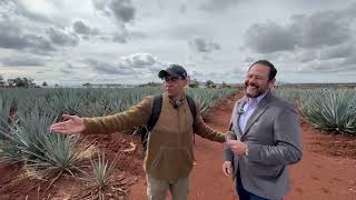 Descubre la fascinante industria del tequila en Jesús María, Jalisco.