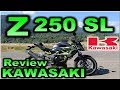 Prueba KAWASAKI Z 250 SL  |Review en Español con Blitz Rider