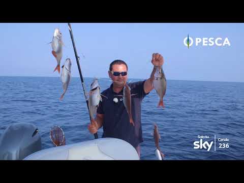 Puntata 4 – Serie 2017 – Bolentino di Profondità