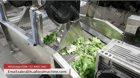 Automatic Lettuce Cabbage 🥬 Leafy Vegetable Bubble Washing Drying Line