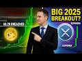 XRP News | Dogecoin: Biggest Breakout in 2025? Shiba Inu Must Break This, XRP Becomes Euphoric