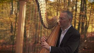 Autumn Leaves - Pedal harp in the forest by Ralf Kleemann
