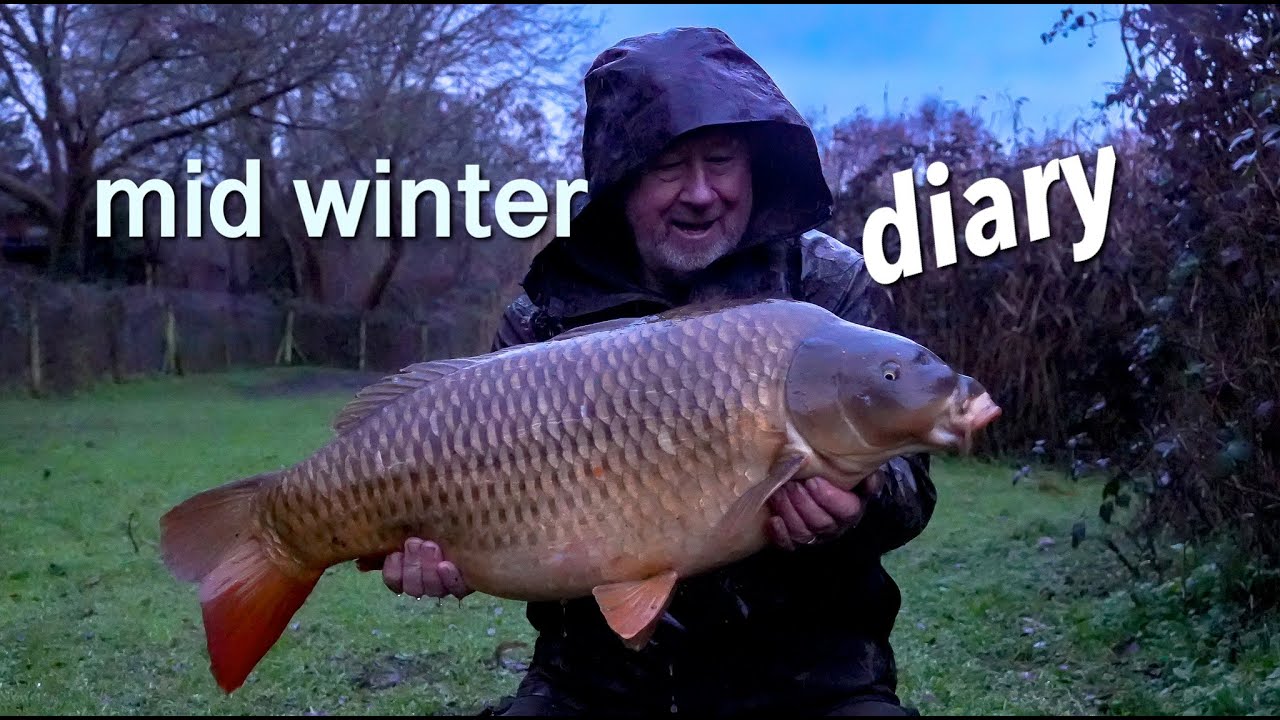 Дневник середины зимы