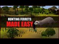 Quick Guide to Hunting Ferrets in OSRS | Hunter Guide