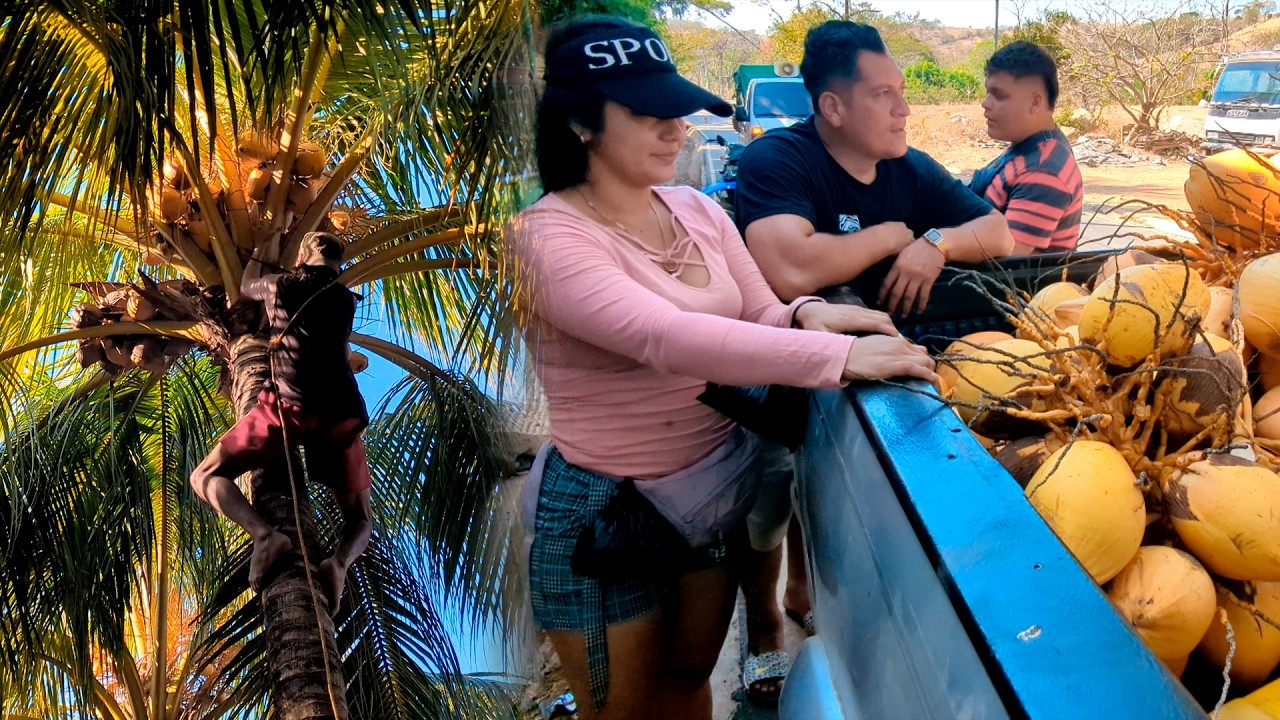 Bajando Cocos en Casas Ajenas 😆 Ronaldinho nos da clases