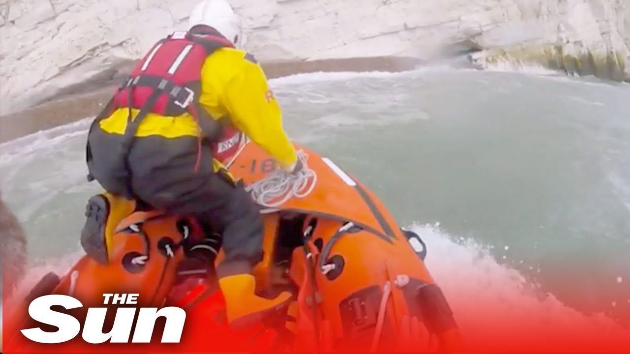 Lifeboat team rescues dog that survived 100ft cliff fall - YouTube