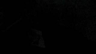 Snoopy Drinking Water