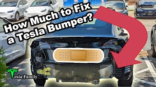 Tesla Rear Bumper Collision Repair | Timeline and Cost | Model Y Rental