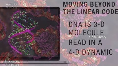 Genomic multifunctionality: implausible for blind evolution, evidence of design - Dr. Kevin Anderson