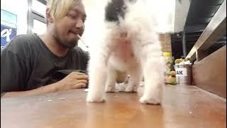 Dj HISLERI HARAP JOS DS SPEAKER