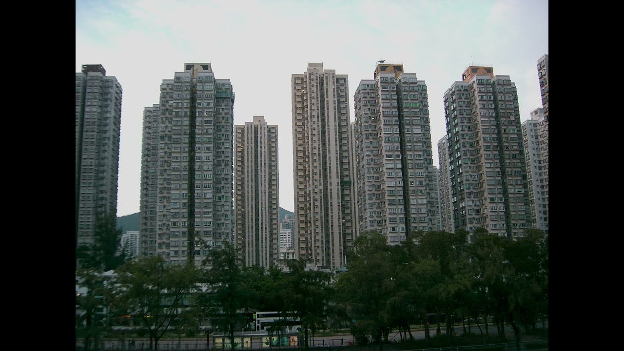 Album of Casio QV-R40