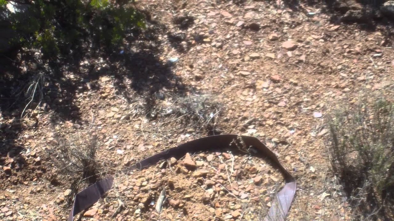 Metal Detecting. Digging Arizona. Exploring the Old West Ghost Town