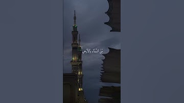 (يَا أَيُّهَا النَّاسُ اذْكُرُوا نِعْمَتَ اللَّه) #سورة_فاطر #قران_كريم #قرآن #اكسبلور #quran