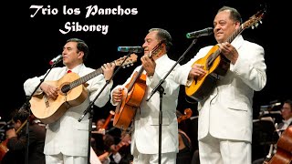 Siboney