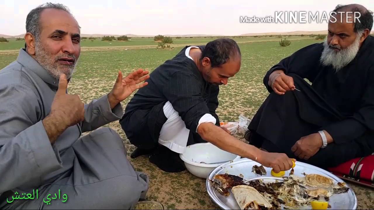 وادي العتش - الصم بالرياض deaf  1437/3/21
