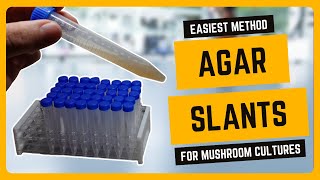 How to Make Agar Slants for Mushroom Cultures EASIEST METHOD