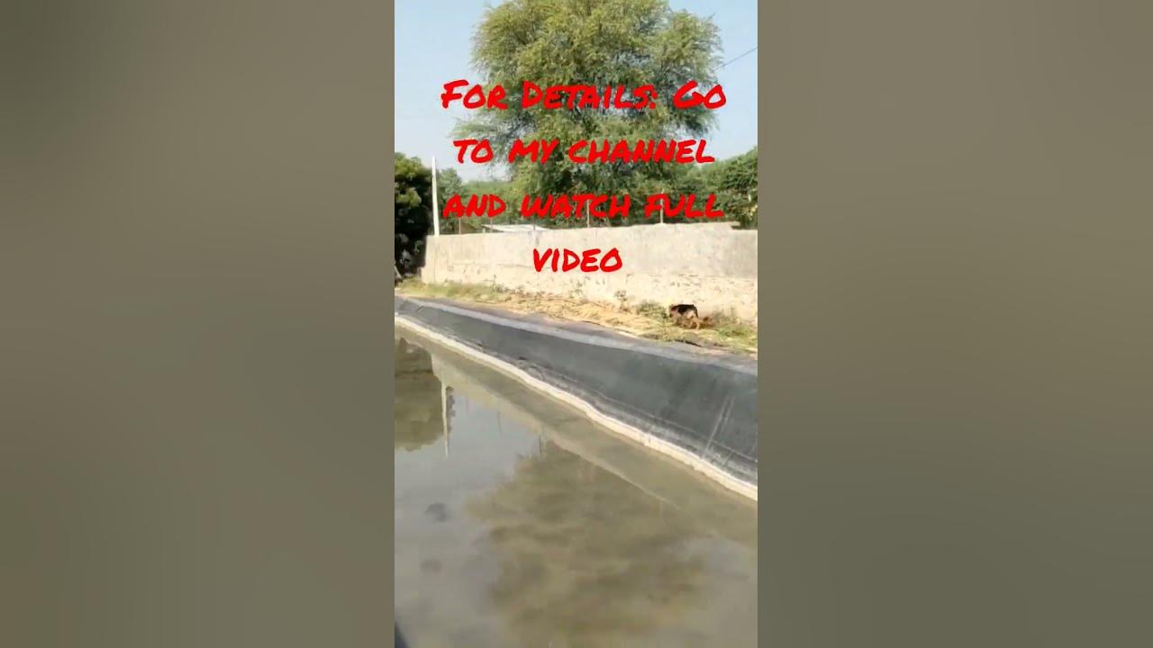 farm-house-available-for-sale-near-jagatpura-jaipur-rajasthan-in-a
