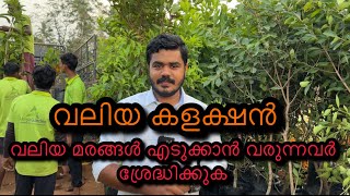 വലിയ മരങ്ങൾ എടുക്കുന്നവർക്ക് വേണ്ടി.... ഫലവൃക്ഷം നടുമ്പോൾശ്രെദ്ധിക്കേണ്ടത്.... by Abiya Garden 50,316 views 1 month ago 25 minutes