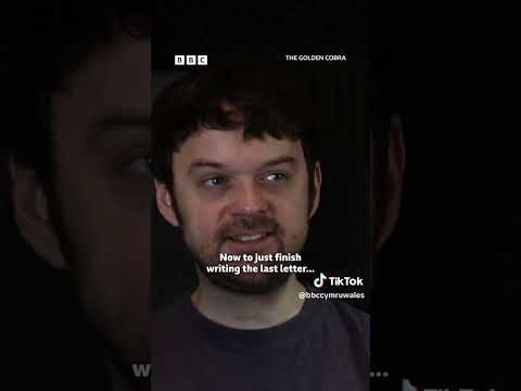Salad Fingers creator @davidfirth discussing his involvement with BBC #animation #thegoldencobra by THE VALE