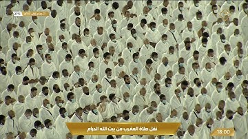 111-Surat Al-Masad سورة المسد