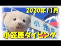 おっくんのダイビング・ベストシーン第36部〈2020.11 小笠原12分〉.mp4