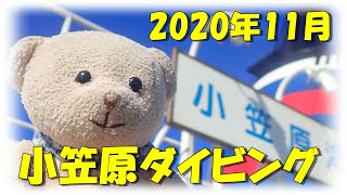 おっくんのダイビング・ベストシーン第36部〈2020.11 小笠原12分〉.mp4