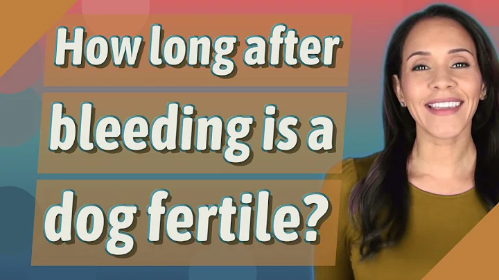 How long after bleeding is a dog fertile? - DayDayNews