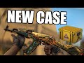 NEW CS:GO CASE! The Fracture Collection. Are The Skins Good?