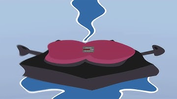 Preview 2 Four V5 Effects in ???