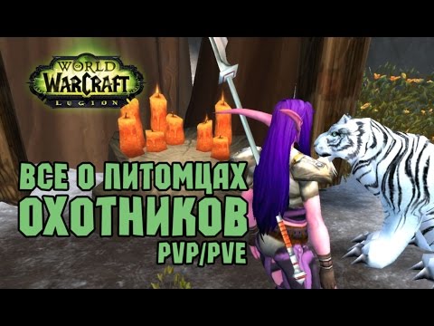 Видео: WoW:Legion Все о питомцах