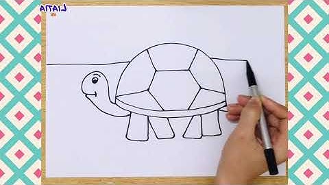 Cách vẽ con rùa đơn giản | Vẽ và tô màu tranh con rùa đơn giản | Hướng dẫn cách vẽ con rùa dễ nhất
