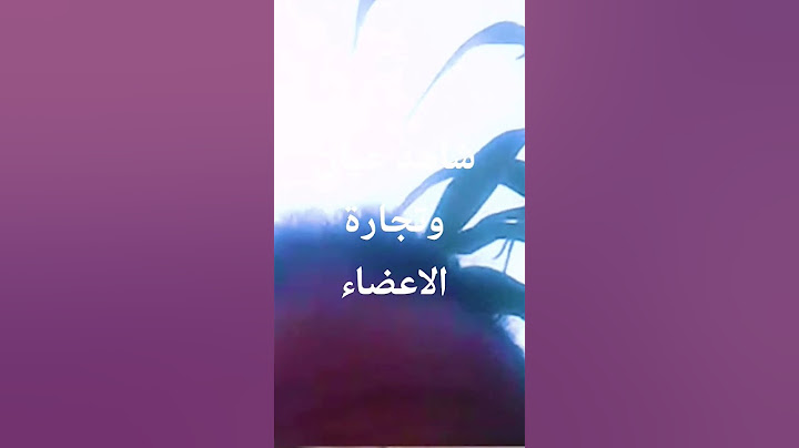هل وفاء عامر متهَمة شاهد عيان