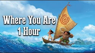 Where You Are 1 Hour Loop  Moana Soundtrack  Relaxing Disney 