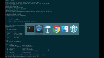 OpenWhisk Web Actions + API Gateway