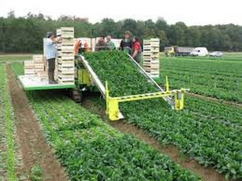 Amazing agriculture  technology  modern  harvest machine 