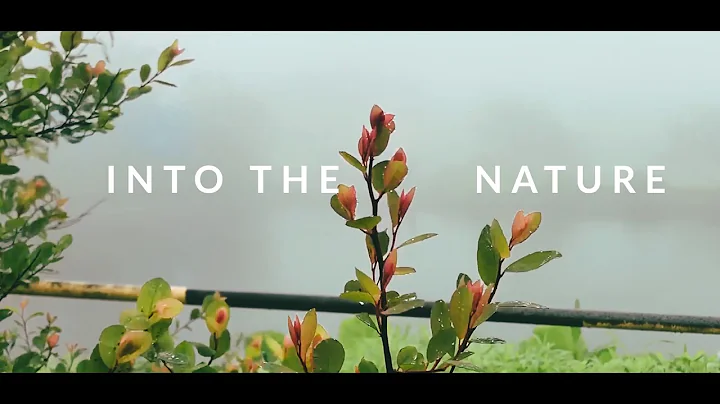 Into The Nature Teaser | Cinematic Nature Video | Iphone 8