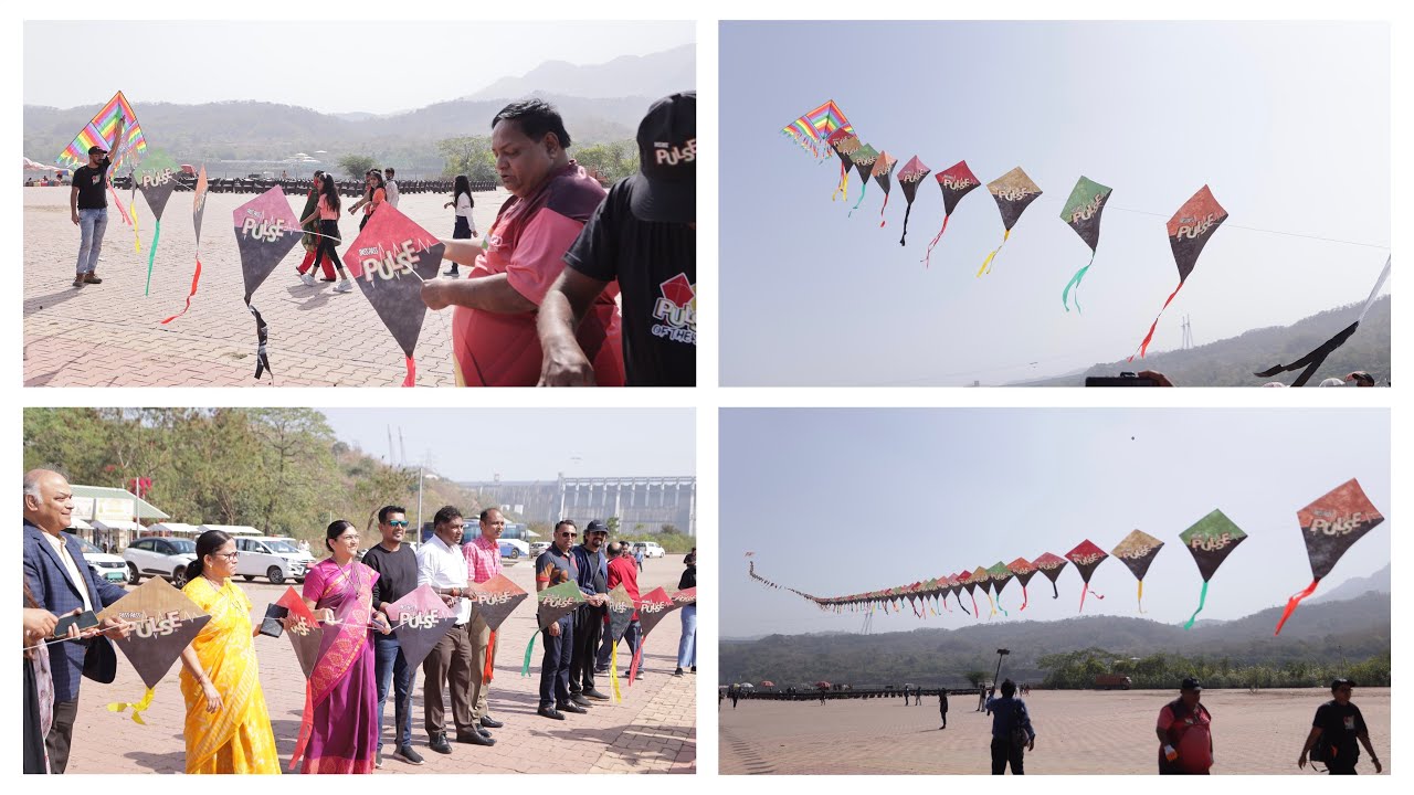 2023 - Pulse of the Sky (Limca Records) - Rise Again