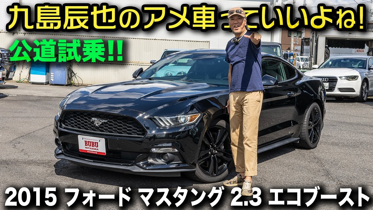2015 Ford Mustang 50 Years Edition (50th Anniversary Special