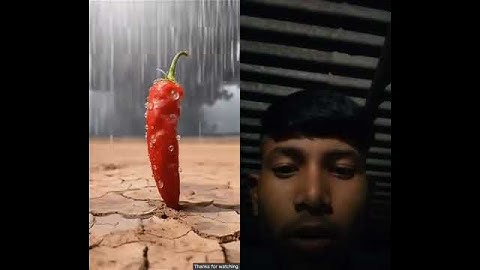 Squirrel watered the red chilli plant and saved it from drying up #ai #tree #save #watering