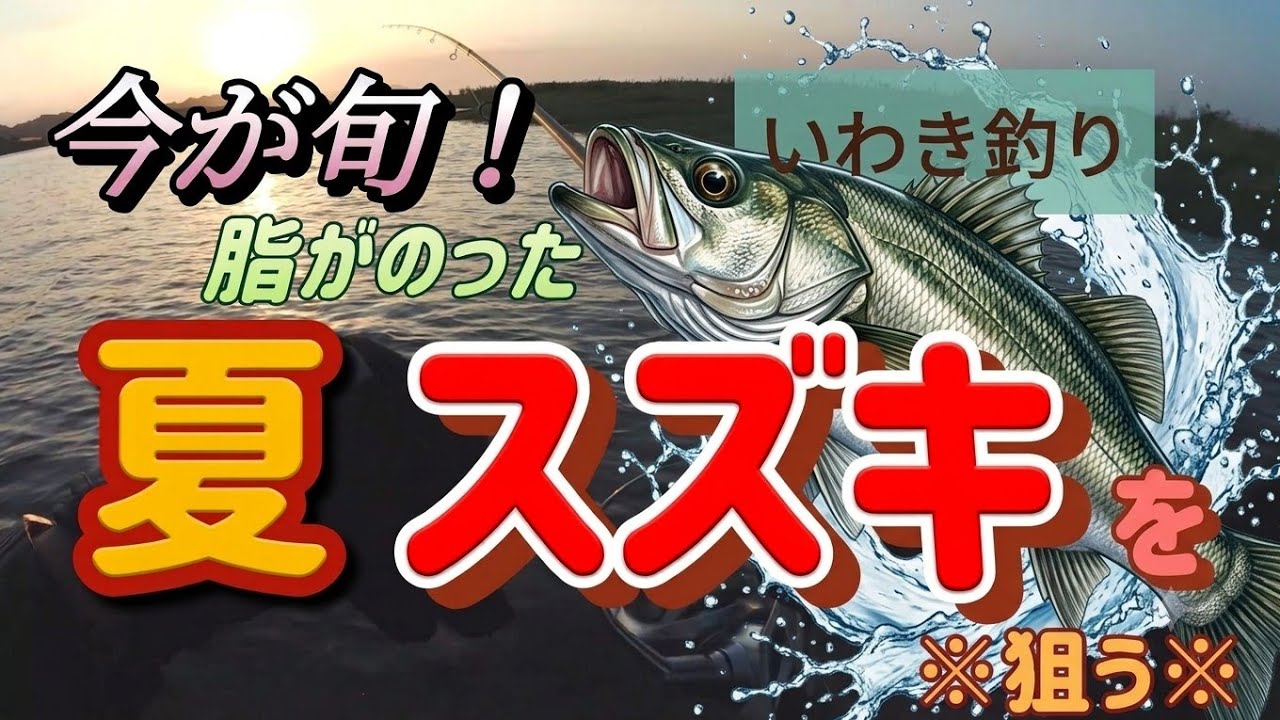 今が旬の夏スズキ！脂がのったシーバス狙い