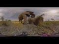 360 Video, Living with Elephants   - Photos of Africa