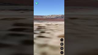 Look At This Place, Theyre Making Sculptures Instead Of Trees