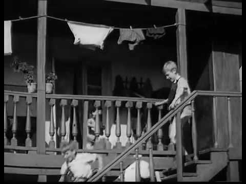 ანგრევთ ოჯახს?! ალიურა!