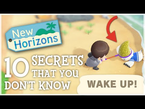 Animal Crossing New Horizons - 10 SECRETS You STILL Don't Know (ACNH Hidden Details)