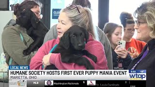 Humane Society of the Ohio Valley hosts first-ever Puppy Mania adoption event