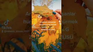 Arxamdan Danisanlar Hurmeye Davam