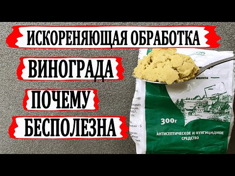 🍇 ОТ ИСКОРЕНЯЮЩЕЙ ОБРАБОТКИ винограда давно уже НЕТ ТОЛКУ. Чем обработать виноград в зиму?
