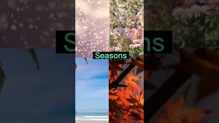 The seasons of the year speaking learning english reading listening 4k