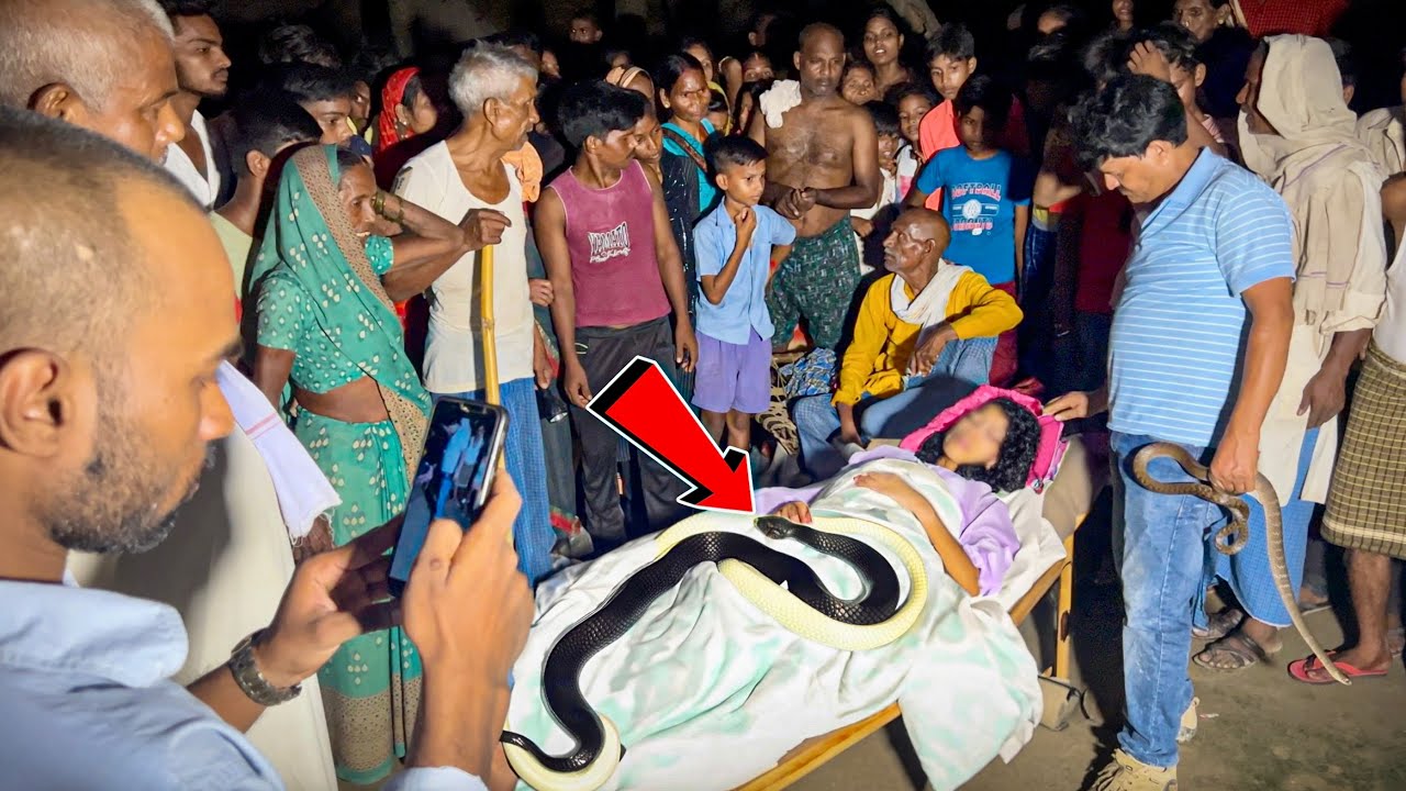 ज़हरीला साँप काटने से किशोरी की मौत | परिजनों का रो-रो कर बुरा हाल | Cobra snake bites a young girl.