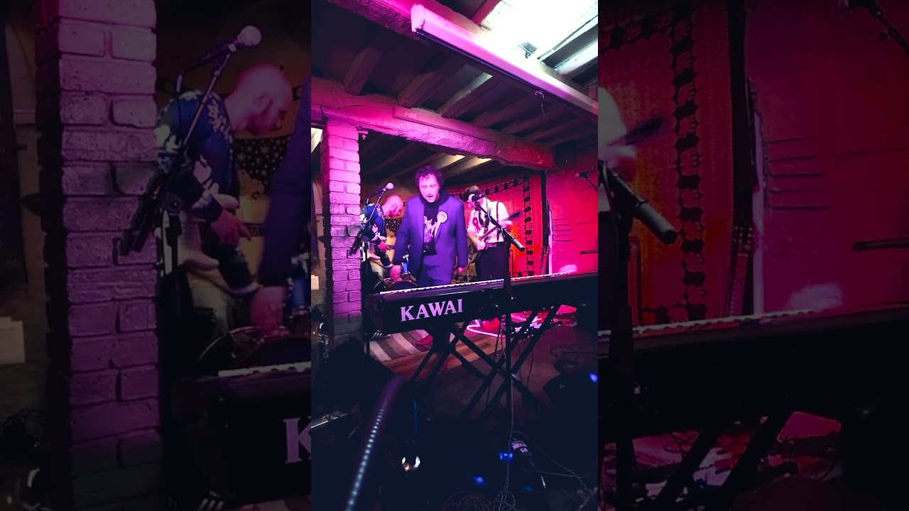 The Shadow Cabinet  |  Landmine Girl & Frigid LIVE @The Sunset Lounge 